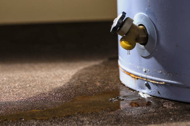 Best Water damage contractors near me  in Springville, VA