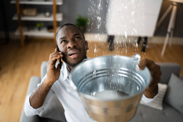 Best Water damage restoration insurance claims  in Springville, VA