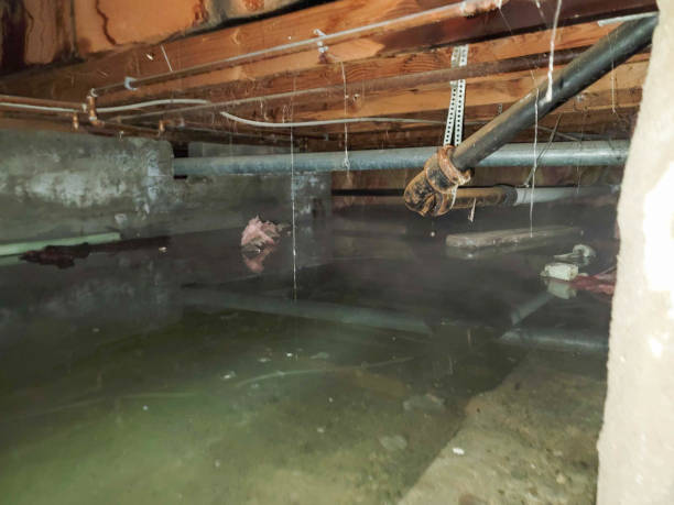 Best Emergency water damage restoration  in Springville, VA