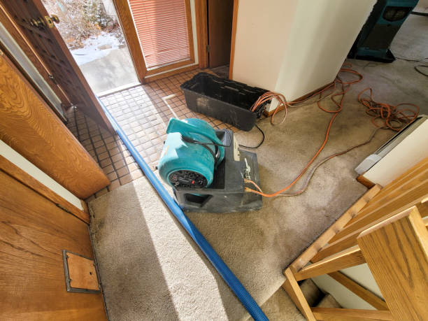Best Emergency water damage restoration  in Springville, VA