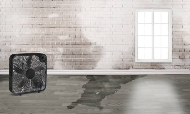 Best Residential water damage restoration  in Springville, VA