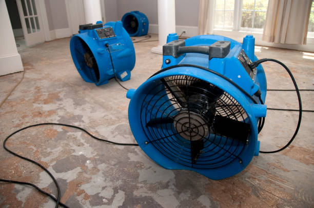 Best Water damage restoration near me  in Springville, VA