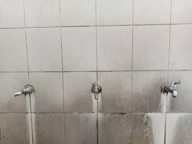 Best 24/7 water damage repair  in Springville, VA