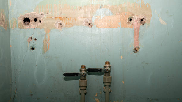 Best 24-hour water damage restoration  in Springville, VA