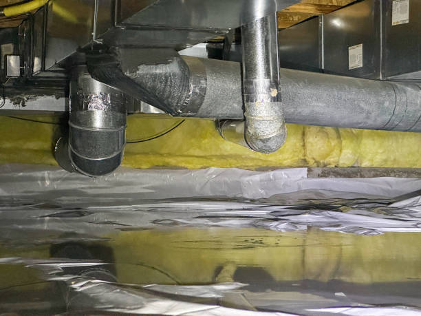 Best Water damage contractors near me  in Springville, VA