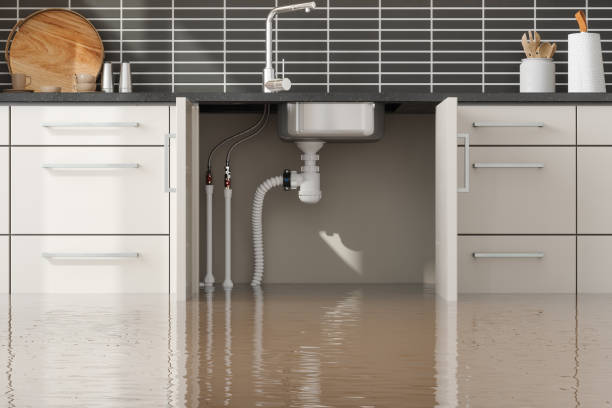 Best Sewage cleanup and water damage restoration  in Springville, VA