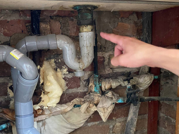 Best Flood restoration services  in Springville, VA