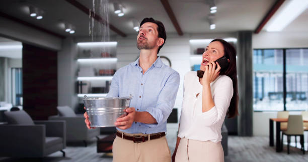 Best Mold removal after water damage  in Springville, VA