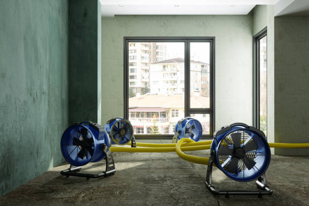 Springville, VA Water damage restoration Company