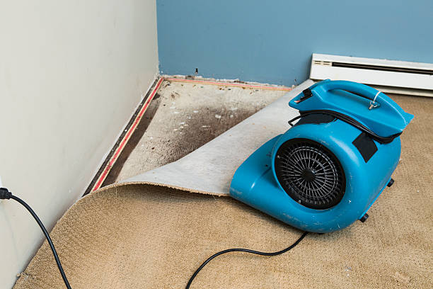 Best Basement water damage restoration  in Springville, VA
