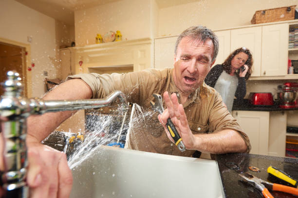 Best Basement water damage restoration  in Springville, VA
